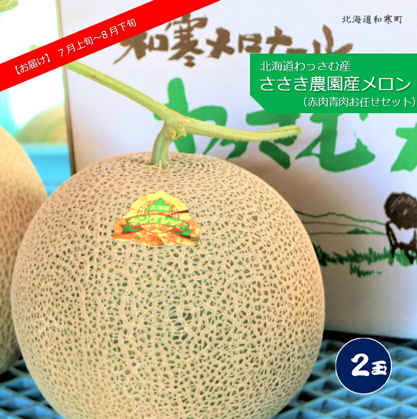 ≪令和6年産≫ささき農園産メロン(お任せ2玉) [7〜8月お届け] ふるさと納税 メロン 北海道