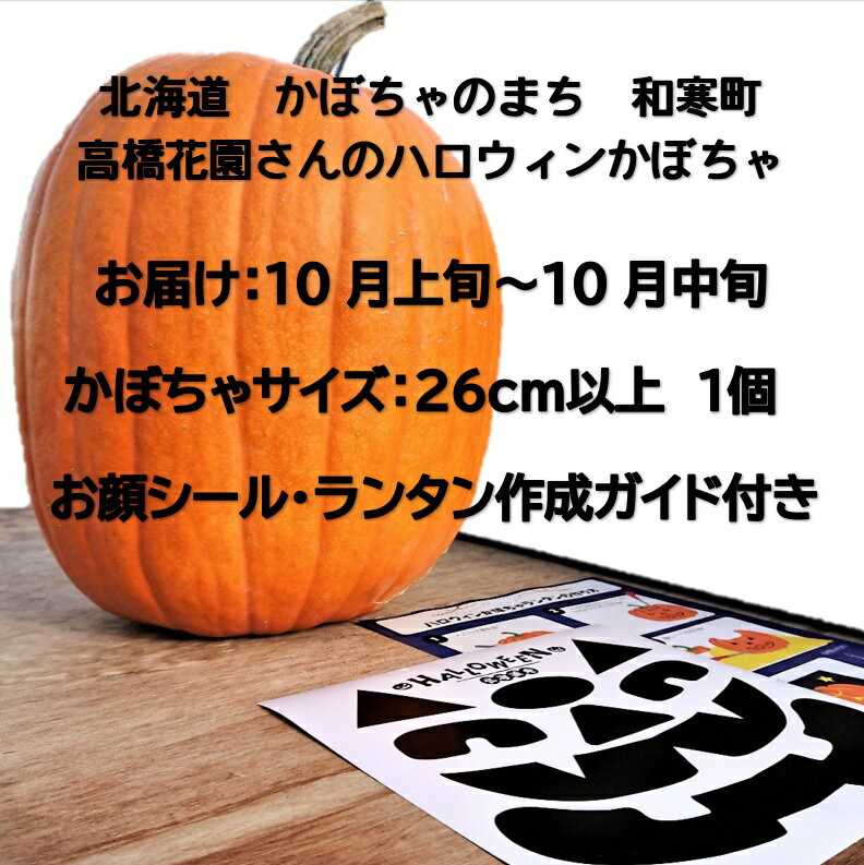 【ふるさと納税】≪令和6年10月お届け≫ハロウィンかぼちゃ　北海道　ふるさと納税　Halloween　グッズ　ランタン　シール