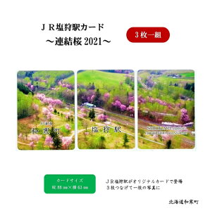【ふるさと納税】JR塩狩駅カード～連結桜2021～