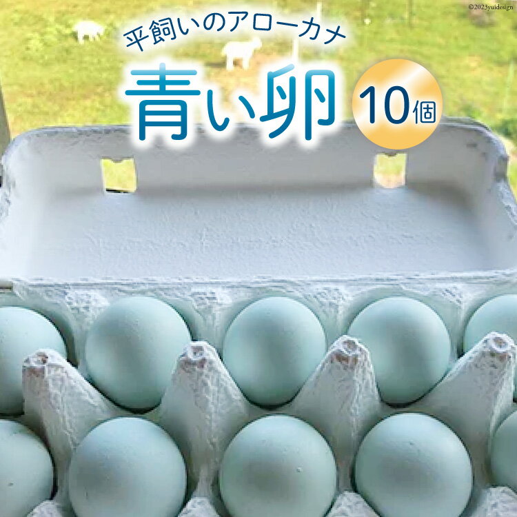 【ふるさと納税】平飼いのアローカナ卵 10個 [ら ぷち ふ