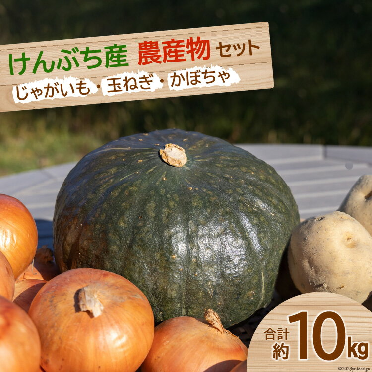 【先行受付】数量限定 野菜 けんぶち産農産物セット 3種 計10kg [剣淵・生命を育てる大地の会 北海道 剣淵町 14656147] じゃがいも 玉ねぎ かぼちゃ 野菜セット