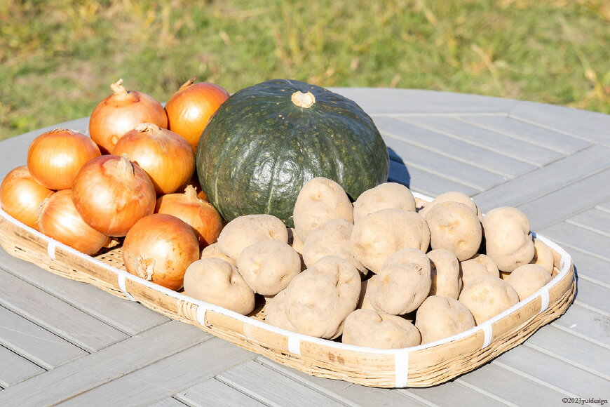 【ふるさと納税】【先行受付】数量限定 野菜 けんぶち産農産物セット 3種 計10kg [剣淵・生命を育てる大地の会 北海道 剣淵町 14656147] じゃがいも 玉ねぎ かぼちゃ 野菜セット