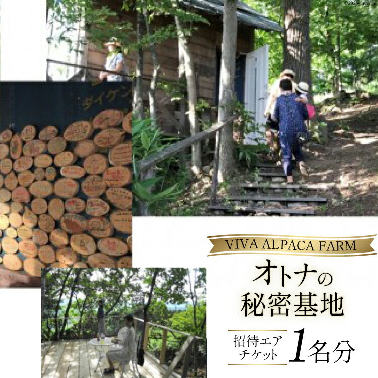 「オトナの秘密基地」招待エアチケット (1名様分) [ビバカンパニー 北海道 剣淵町 14656188]