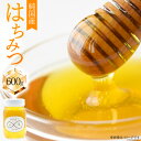 ハチミツ 600g×1  はちみつ 蜂蜜 国産 アカシア