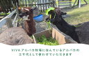 北海道剣淵町の画像3