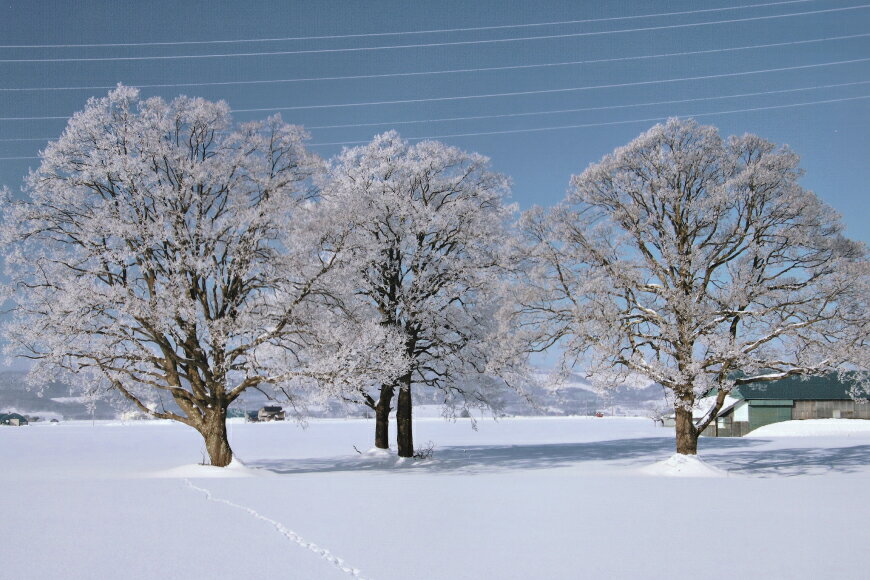 北海道剣淵町の画像3