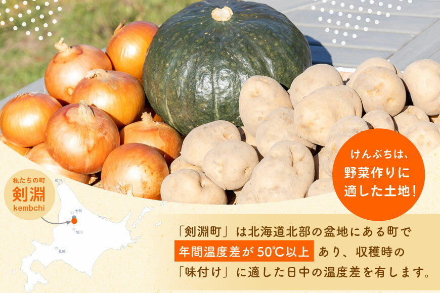 【ふるさと納税】 【先行受付】数量限定 野菜 けんぶち産農産物セット 3種 計10kg [剣淵・生命を育てる大地の会 北海道 剣淵町 14656147] じゃがいも 玉ねぎ かぼちゃ 野菜セット