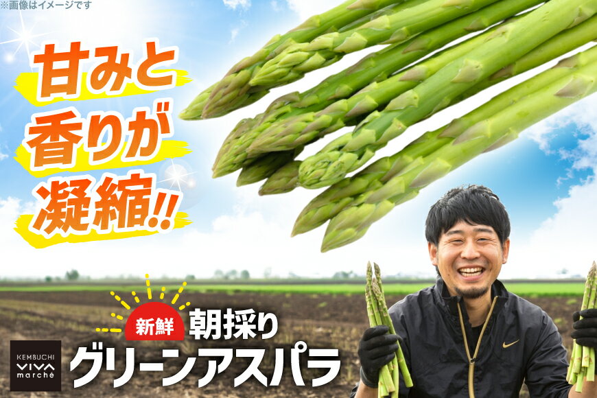 【ふるさと納税】 剣淵町産 グリーンアスパラ 1kg(M〜2L混) [けんぶちVIVAマルシェ 北海道 剣淵町 14656381 ] アスパラ アスパラガス グリーンアスパラ 春 新鮮 送料無料