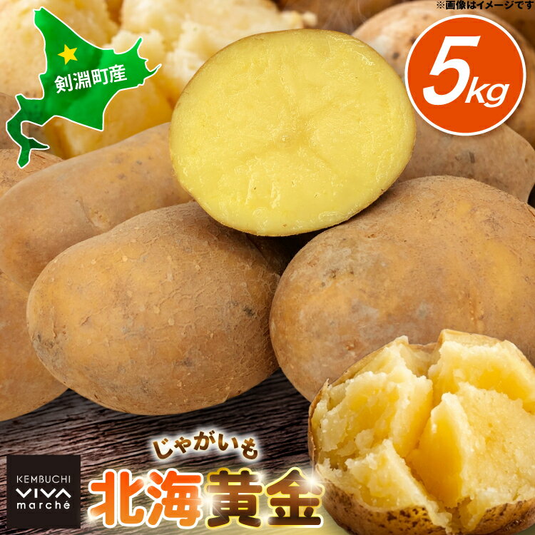 【ふるさと納税】 じゃがいも 北海黄金 5kg [けんぶちVIVAマルシェ 北海道 剣淵町 14656385] ジャガイモ 芋 いも ポテト 野菜 秋野菜 秋 常備野菜 カレー シチュー ポテトサラダ