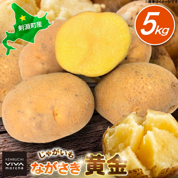 【ふるさと納税】 じゃがいも ながさき黄金 5kg [けんぶちVIVAマルシェ 北海道 剣淵町 14656386] ジャガイモ 芋 いも ポテト 野菜 秋野菜 秋 常備野菜 カレー シチュー ポテトサラダ