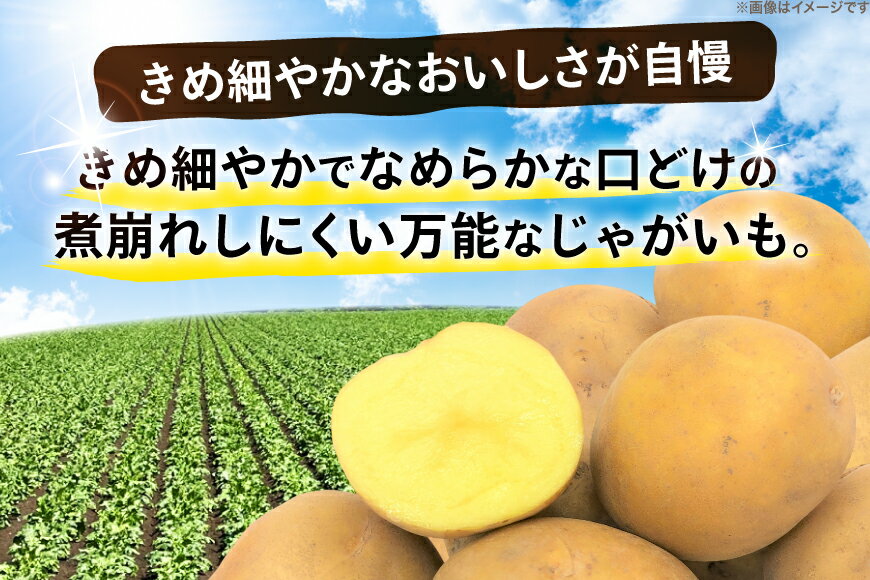 【ふるさと納税】 じゃがいも とうや 5kg [ けんぶちVIVAマルシェ 北海道 剣淵町 14656387] ジャガイモ 芋 いも ポテト 野菜 秋野菜 秋 常備野菜 カレー シチュー ポテトサラダ
