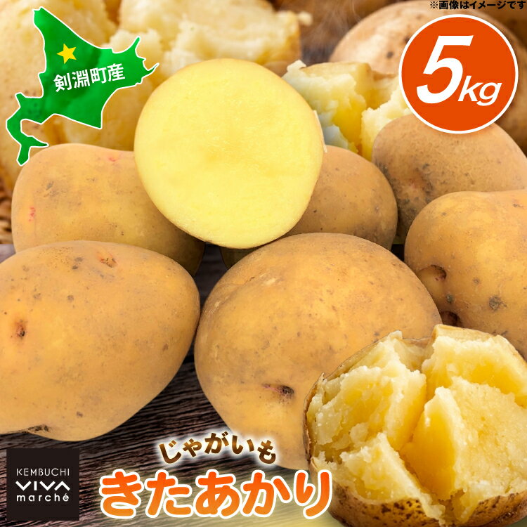 【ふるさと納税】 じゃがいも きたあかり 5kg [けんぶちVIVAマルシェ 北海道 剣淵町 14656388] ジャガイモ 芋 いも ポテト きたあかり キタアカリ 野菜 秋野菜 秋 常備野菜 カレー シチュー ポテトサラダ