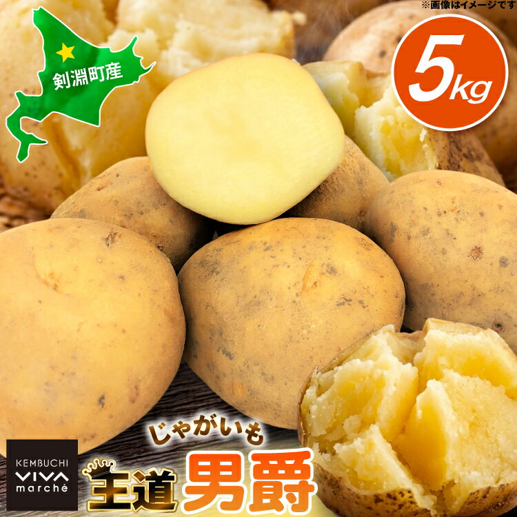 【ふるさと納税】 じゃがいも 男爵 5kg [けんぶちVIVAマルシェ 北海道 剣淵町 14656389] ジャガイモ 芋 いも ポテト 男爵 だんしゃく 野菜 秋野菜 秋 常備野菜 カレー シチュー ポテトサラダ