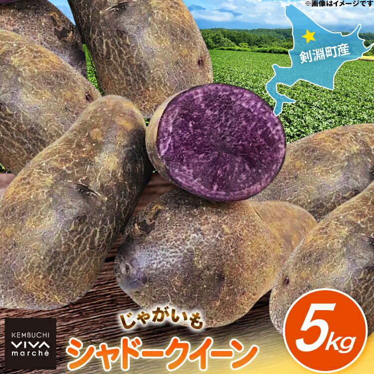 【ふるさと納税】 じゃがいも シャドークイーン 5kg [けんぶちVIVAマルシェ 北海道 剣淵町 14656391] ジャガイモ 芋 いも ポテト 野菜 秋野菜 秋 常備野菜 カレー シチュー ポテトサラダ