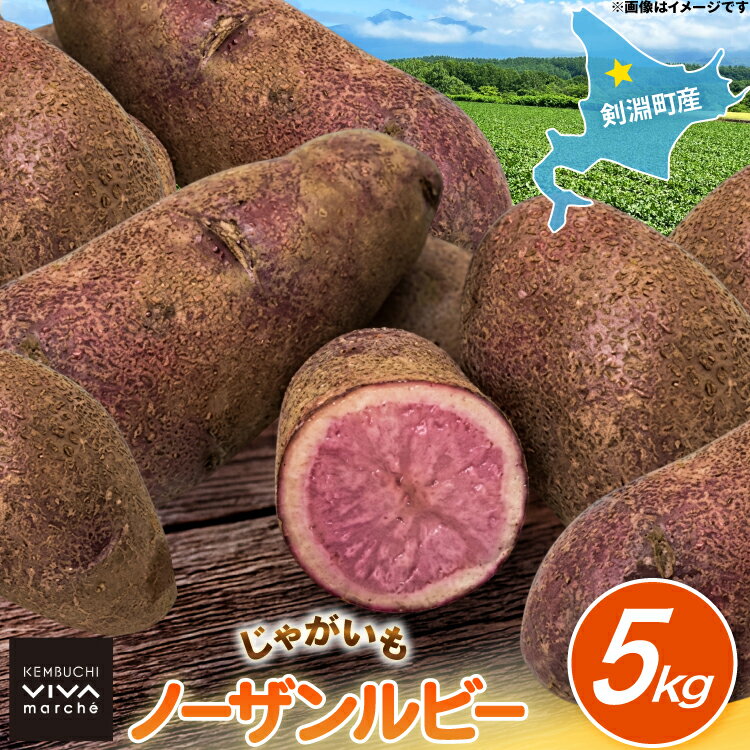 【ふるさと納税】 じゃがいも ノーザンルビー 5kg [けんぶちVIVAマルシェ 北海道 剣淵町 14656392] ジャガイモ 芋 いも ポテト 野菜 秋野菜 秋 常備野菜 カレー シチュー ポテトサラダ コロッケ