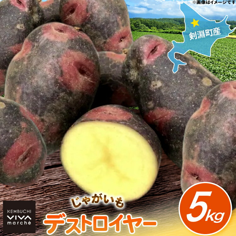 【ふるさと納税】 じゃがいも デストロイヤー 5kg [けんぶちVIVAマルシェ 北海道 剣淵町 14656393] ジャガイモ 芋 いも ポテト 野菜 秋野菜 秋 常備野菜 カレー シチュー ポテトサラダ 肉じゃが