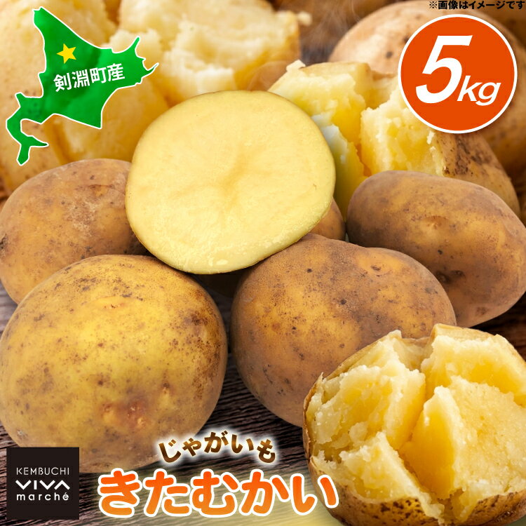 【ふるさと納税】 じゃがいも きたむかい 5kg [けんぶちVIVAマルシェ 北海道 剣淵町 14656394] ジャガイモ 芋 いも ポテト 野菜 秋野菜 秋 常備野菜 カレー シチュー ポテトサラダ