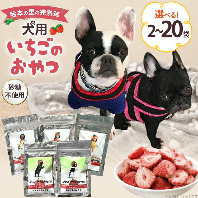【ふるさと納税】 ペットフード 犬用のいちごのおやつ ドライ苺 ペットフード 15g 選べる内容量 2袋〜20袋 [アグリプロダクト笠井 北海道 剣淵町 14656423] ドックフード ドッグフード ペット 犬用 おやつ 餌 えさ エサ いちご 苺 イチゴ ドライフルーツ 乾燥 ふるさと納税