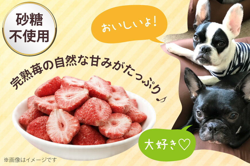 【ふるさと納税】 ペットフード 犬用のいちごのおやつ ドライ苺 ペットフード 15g 選べる内容量 2袋〜20袋 [アグリプロダクト笠井 北海道 剣淵町 14656423] ドックフード ドッグフード ペット 犬用 おやつ 餌 えさ エサ いちご 苺 イチゴ ドライフルーツ 乾燥 ふるさと納税 f014656-kembuchi-10000236 北海道剣淵町 サンプル画像3