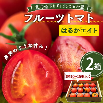 【先行予約】令和6年度産 10～15玉前後 糖度8.0度以上 北はるか産フルーツトマト はるかエイト 2箱 フルーツ トマト グルメ 故郷 ふるさと 納税 国産 北海道産 北海道 下川町 F4G-0110