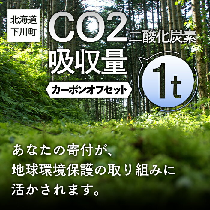 CO2(二酸化炭素)吸収量 1t カーボンオフセット 故郷 ふるさと 納税 北海道 下川町
