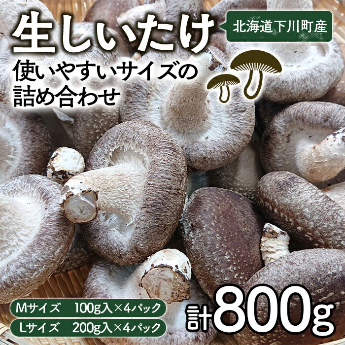 12位! 口コミ数「0件」評価「0」生しいたけ【使いやすいサイズの詰め合わせ】800g Mサイズ(100g×4パック) Lサイズ(200g×2パック) 軸太 肉厚 椎茸 シイタ･･･ 