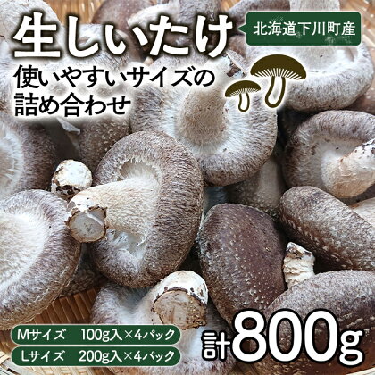 生しいたけ【使いやすいサイズの詰め合わせ】800g Mサイズ(100g×4パック) Lサイズ(200g×2パック) 軸太 肉厚 椎茸 シイタケ 野菜 やさい 故郷 ふるさと 納税 国産 北海道産 北海道 下川町 F4G-0013