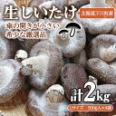 【ふるさと納税】簡易包装 生しいたけ【Lサイズ・傘の開きが小さい】2kg 軸太 肉厚 椎茸 シイタケ 野菜 やさい 故郷 ふるさと 納税 北海道 下川町 直径約...