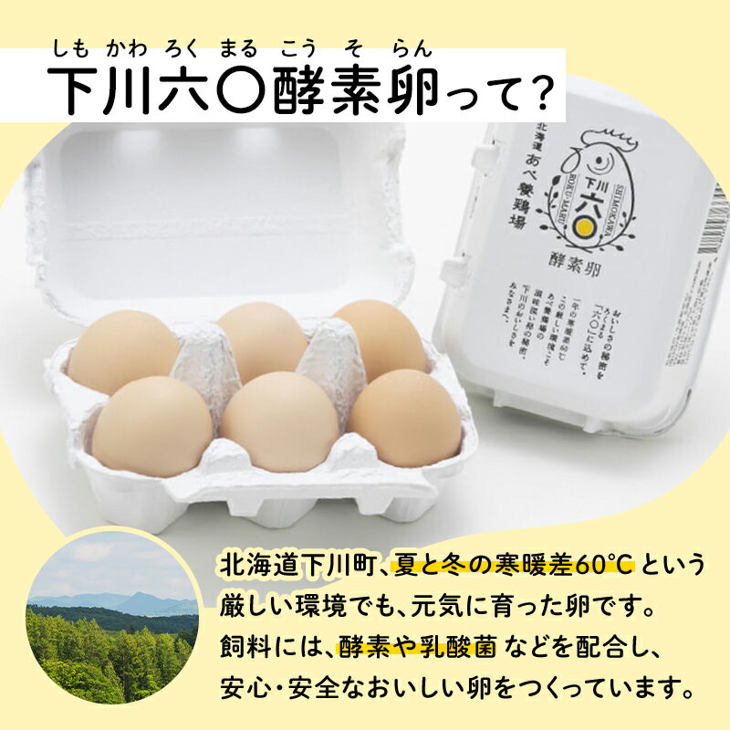 【ふるさと納税】 【選べるコース】 《定期便》 安心・安全な『下川六〇酵素卵』を毎日の食卓に！ 下川ろくまる あべ養鶏場 割れ補償付き ブランド卵 たまご 玉子 タマゴ ふるさと 納税 国産 北海道産 北海道 下川町 F4G-0134ver