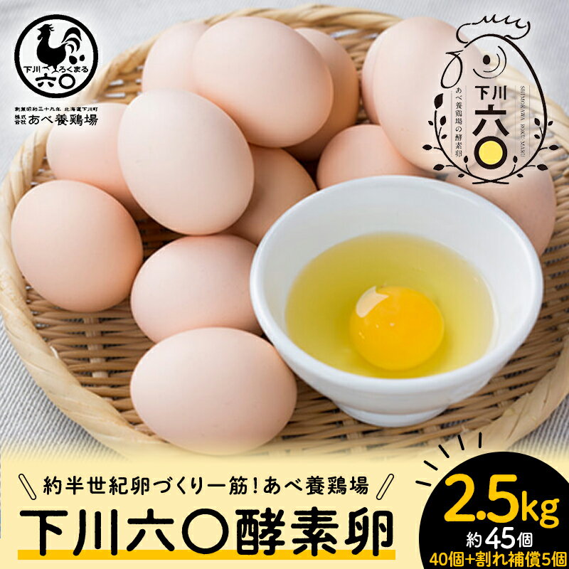 【ふるさと納税】 2.5kg 約45個（40個＋割れ補償5個） 約半世紀卵づくり一筋 ！『下川六〇酵素卵』 下川ろくまる あべ養鶏場 たまご 玉子 タマゴ ふるさと 納税 国産 北海道産 北海道 下川町 F4G-0131のサムネイル