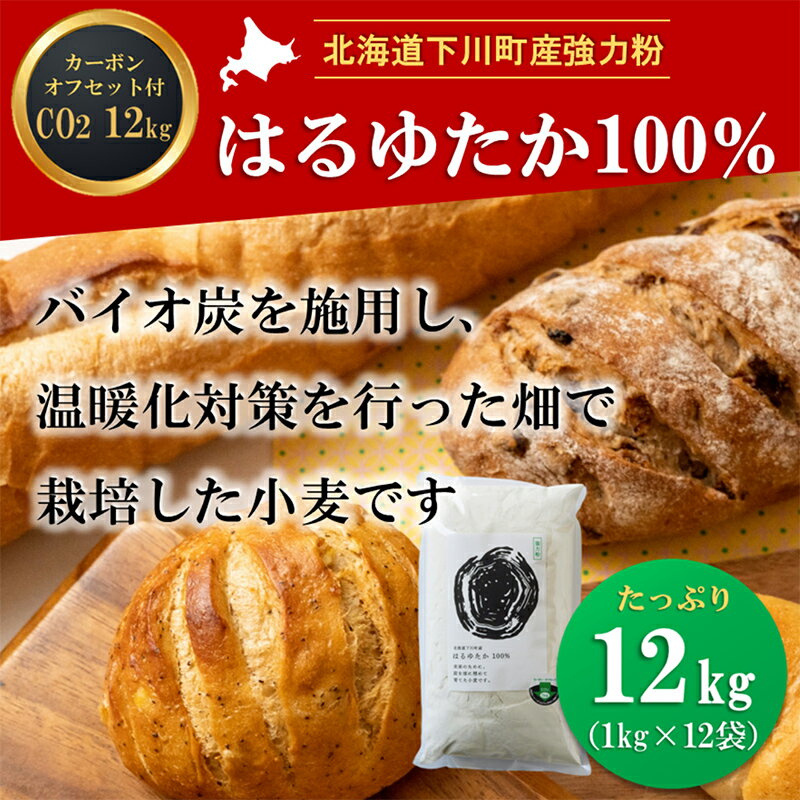 【ふるさと納税】北海道下川町産強力粉はるゆたか100% 12kg バイオ炭施用 カーボン・オフセット付 F4G-..