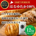 北海道下川町産強力粉はるゆたか100% 12kg バイオ炭施用 カーボン・オフセット付 F4G-0198