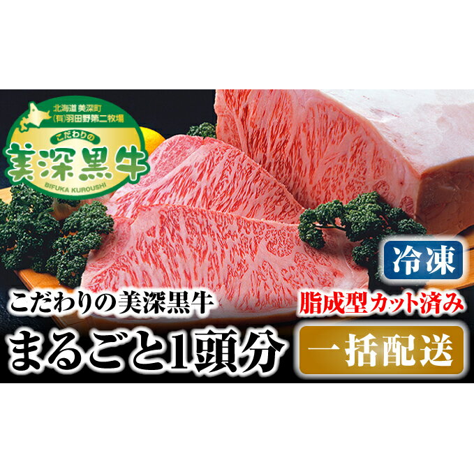 【ふるさと納税】北海道 こだわりの美深黒牛1頭分 成型脂カットあり（冷凍）　【お肉・牛肉・サーロイン・焼肉・バーベキュー】