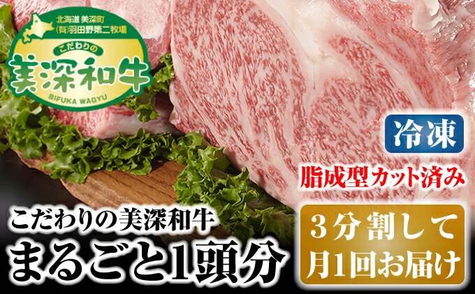 【ふるさと納税】北海道 こだわりの美深和牛1頭分（冷凍）3分割して月1回お届け　【定期便・お肉・サーロイン・牛肉・焼肉・バーベキュー】