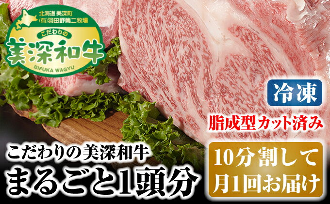 【ふるさと納税】北海道 こだわりの美深和牛1頭分（冷凍）10分割して月1回お届け　【定期便・お肉・牛肉・サーロイン・焼肉・バーベキュー】