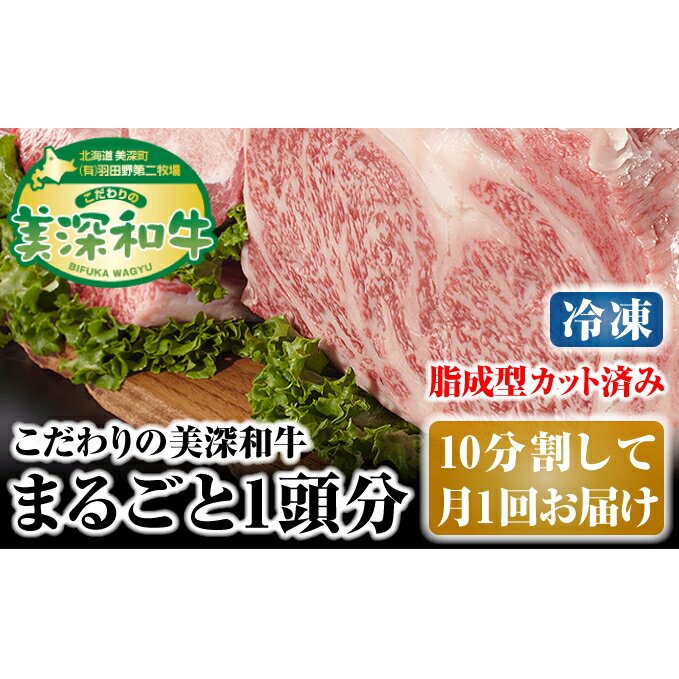 【ふるさと納税】北海道 こだわりの美深和牛1頭分（冷凍）10分割して月1回お届け　【定期便・お肉・牛肉・サーロイン・焼肉・バーベキュー】