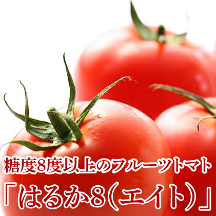 驚きの値段 ふるさと納税 フルーツトマト はるか8 エイト 50 75玉 北海道美深町産 野菜 トマト フルーツトマト お届け 21年7月上旬 21年10月上旬 国産 Saosebastiao Se Df Gov Br 驚きの値段 ふるさと納税 フルーツトマト はるか8 エイト 50 75玉 北海道美深町産 野菜 トマト フルーツトマト お届け 21年7月上旬 21年10月上旬 国産 Saosebastiao Se Df Gov Br