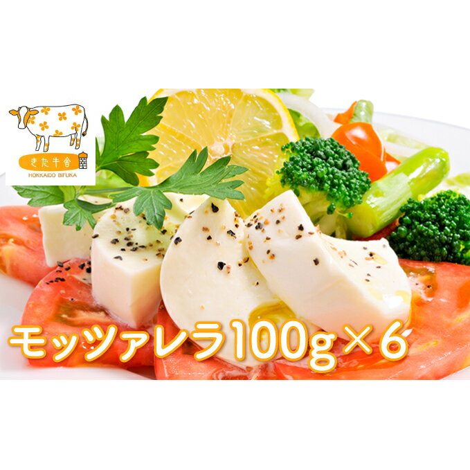 【ふるさと納税】北海道美深町モッツァレラ100g×6【北ぎゅう舎】【加工食品・乳製品・チーズ】