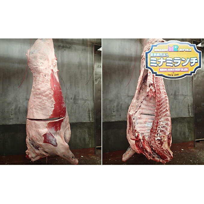 北海道美深産 エアリアルビーフ 1頭分フルセット 約300kg [牛肉・サーロイン・お肉・牛肉・ヒレ・お肉・牛肉]