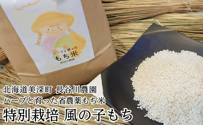 【ふるさと納税】ハーブと育った省農薬の特別栽培もち米「風の子もち」5kg×1【北海道美深町】長谷川農園　【餅米・もち米】