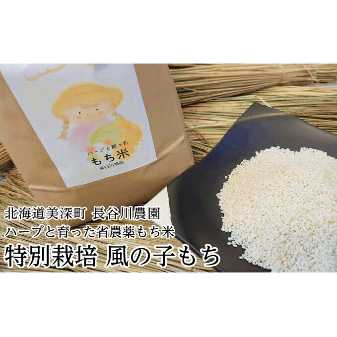 【ふるさと納税】ハーブと育った省農薬の特別栽培もち米「風の子もち」5kg×1【北海道美深町】長谷川農園　【餅米・もち米】