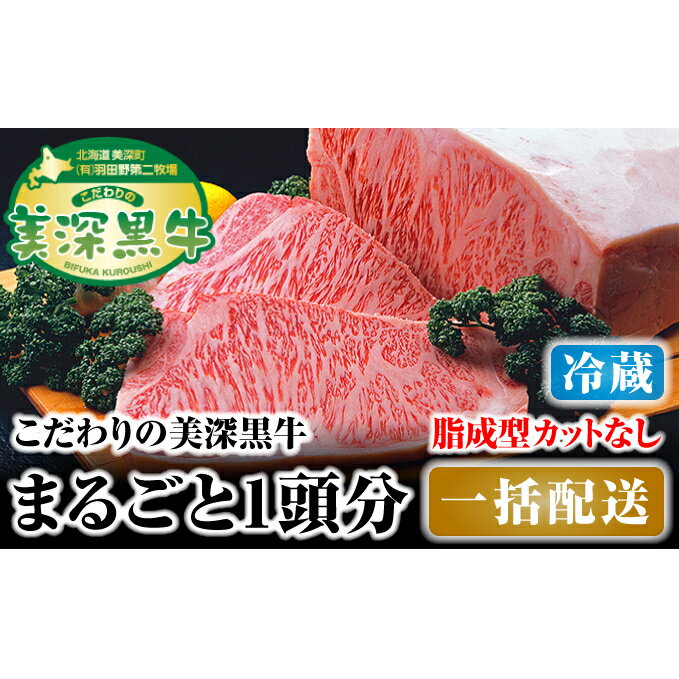 北海道 こだわりの美深黒牛1頭分 成型脂カットなし(冷蔵) [お肉・牛肉・サーロイン・焼肉・バーベキュー]