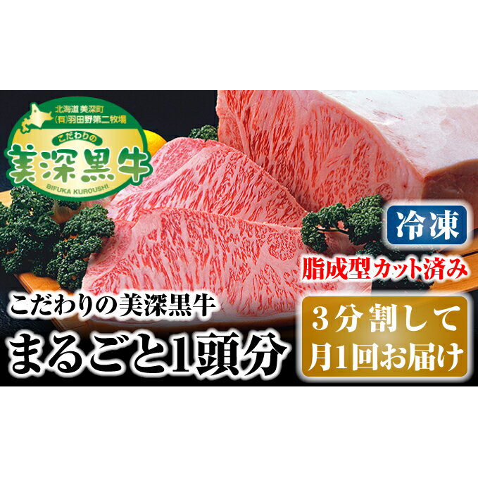 北海道 こだわりの美深黒牛1頭分(冷凍)3分割して月1回お届け [定期便・お肉・サーロイン・牛肉・焼肉・バーベキュー]