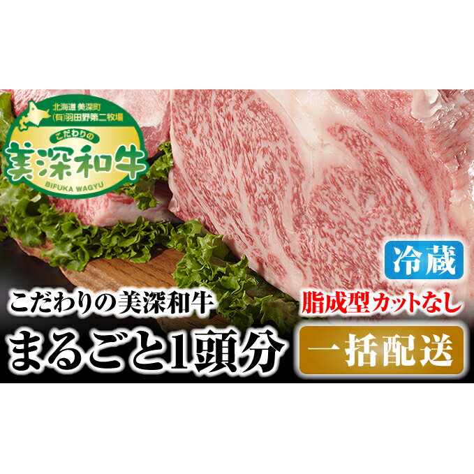 【ふるさと納税】北海道 こだわりの美深和牛1頭分 成型脂カットなし（冷蔵）　【お肉・牛肉・サーロイン・焼肉・バーベキュー】