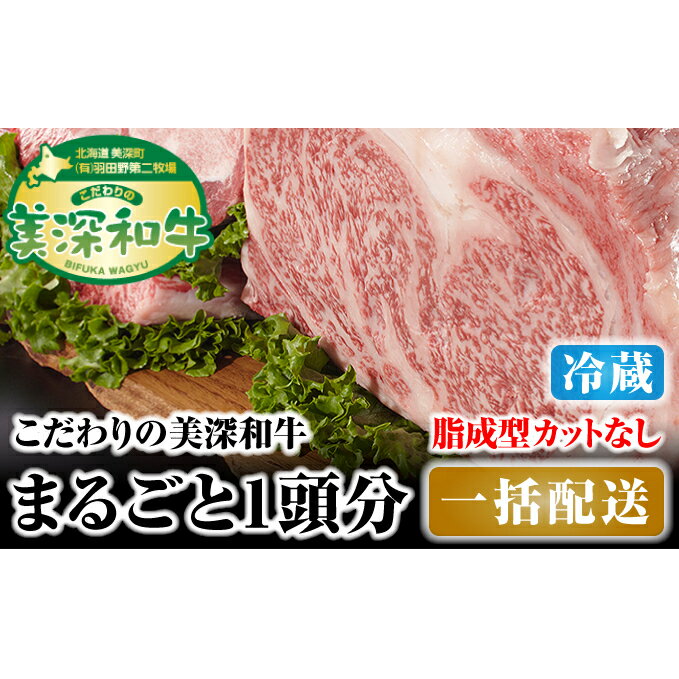 北海道 こだわりの美深和牛1頭分 成型脂カットなし(冷蔵) [お肉・牛肉・サーロイン・焼肉・バーベキュー]