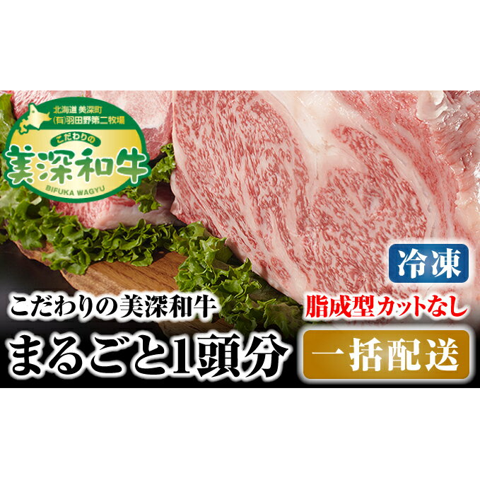 【ふるさと納税】北海道 こだわりの美深和牛1頭分 成型脂カットなし（冷凍）　【お肉・牛肉・サーロイン・焼肉・バーベキュー】