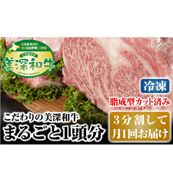 【ふるさと納税】北海道 こだわりの美深和牛1頭分（冷凍）3分割して月1回お届け　【定期便・お肉・サーロイン・牛肉・焼肉・バーベキュー】