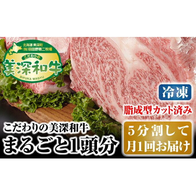 北海道 こだわりの美深和牛1頭分(冷凍)5分割して月1回お届け [定期便・お肉・牛肉・サーロイン・焼肉・バーベキュー]