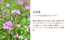 北海道美深町の画像3