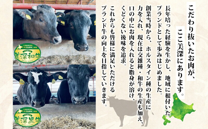 【ふるさと納税】定期便 3回 黒牛 カルビ 焼肉 （500g×2）1kg こだわりの美深黒牛 和牛 お肉 牛肉 旨み グルメ バーベキュー ギフト 贈り物 北海道 f014699-bifuka-10000225 北海道美深町 サンプル画像3
